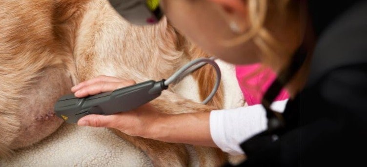 Laser Therapy