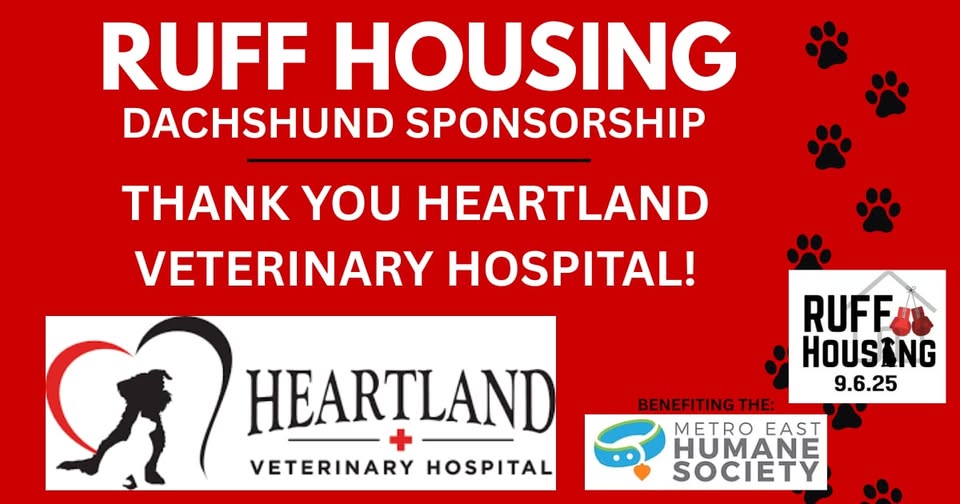 Ruff Housing Dachshund Sponsor