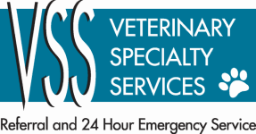 VSS Logo