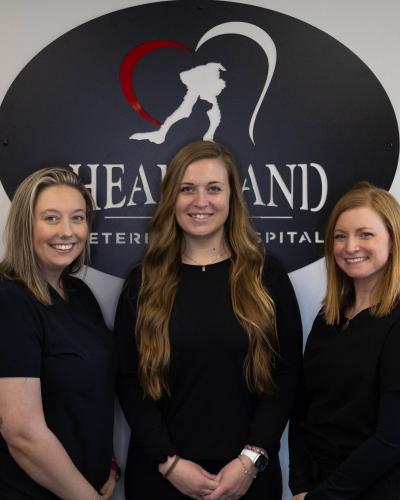 Surgical Coordinator Team