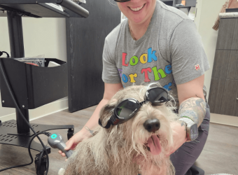 Laser Therapy Q & A